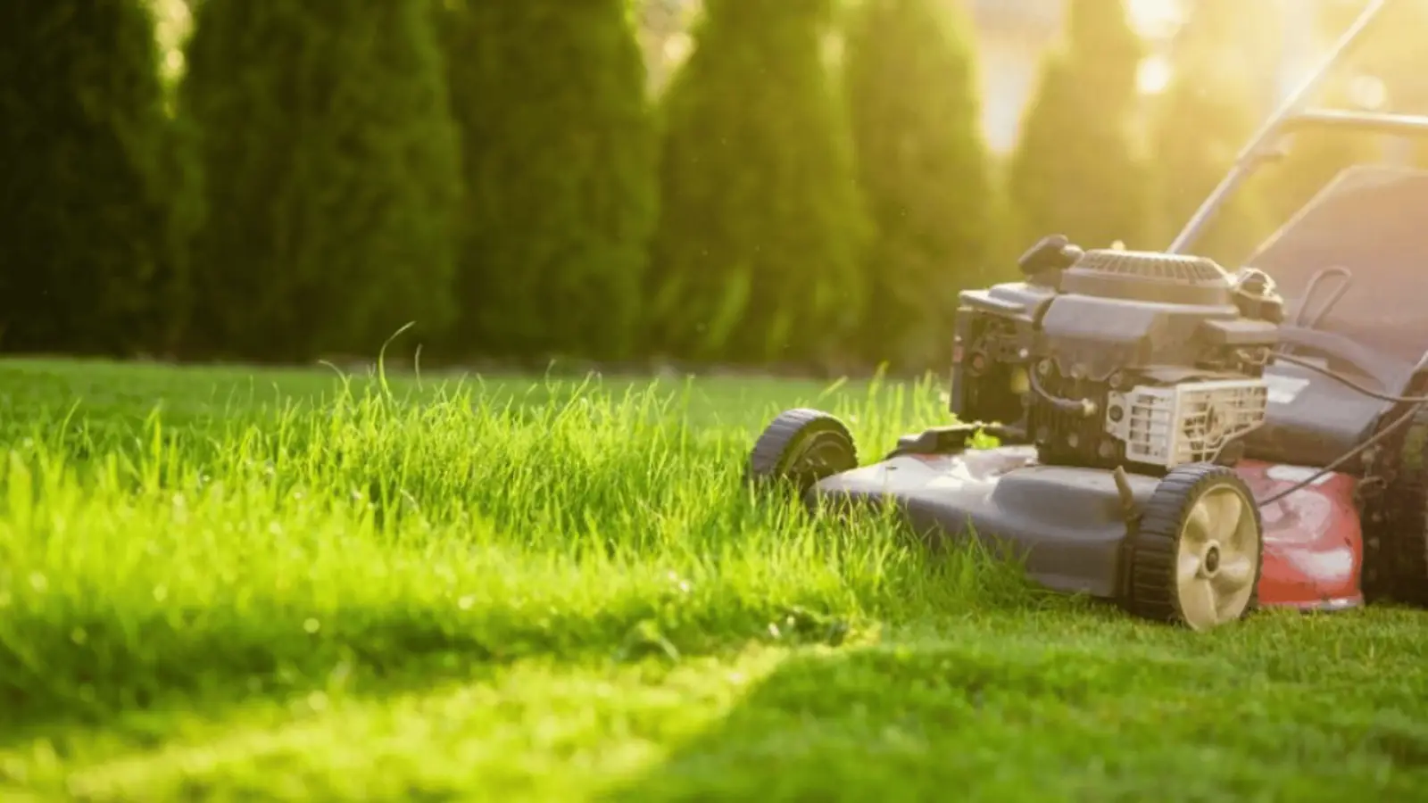MDA Services — lawn care in Glenmore